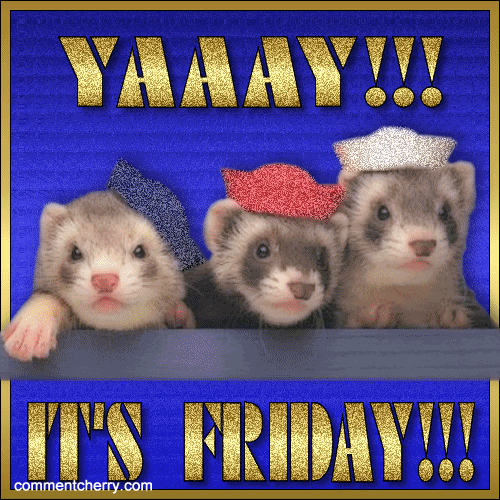 YAAAY-Its-Friday.gif