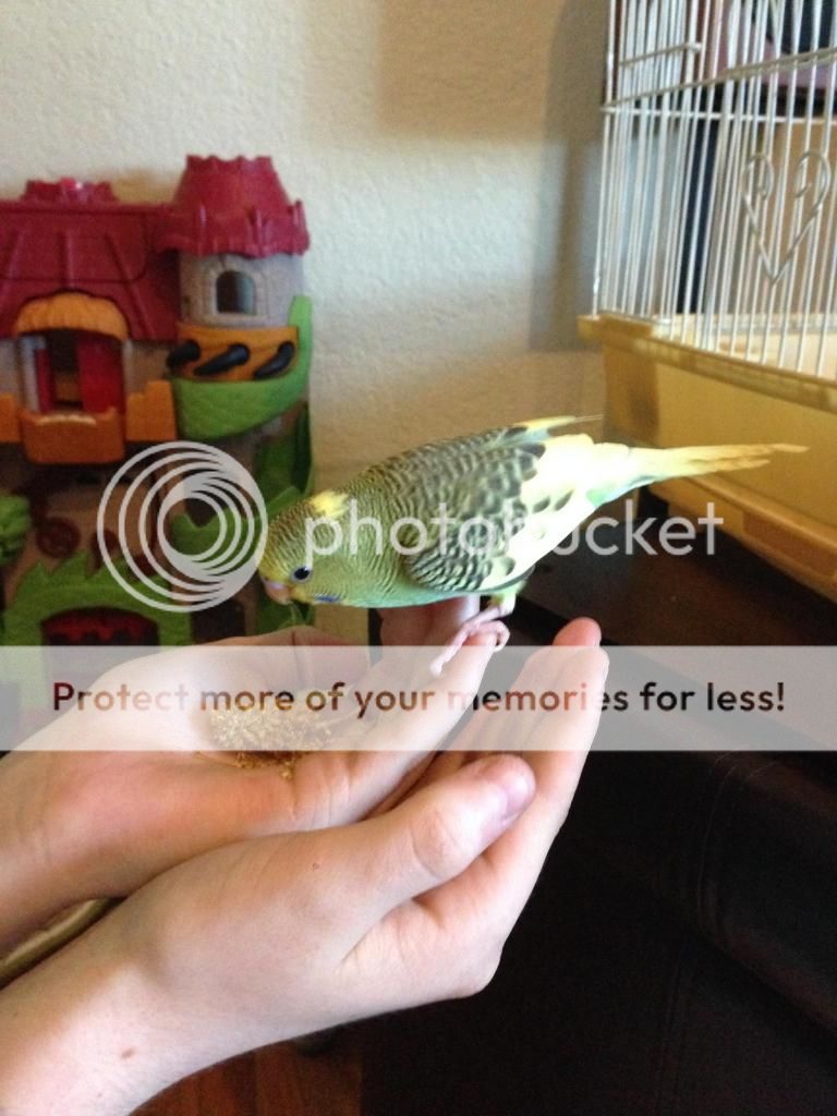 8773b667-2468-4556-94d1-790c2aaa72aa_zps