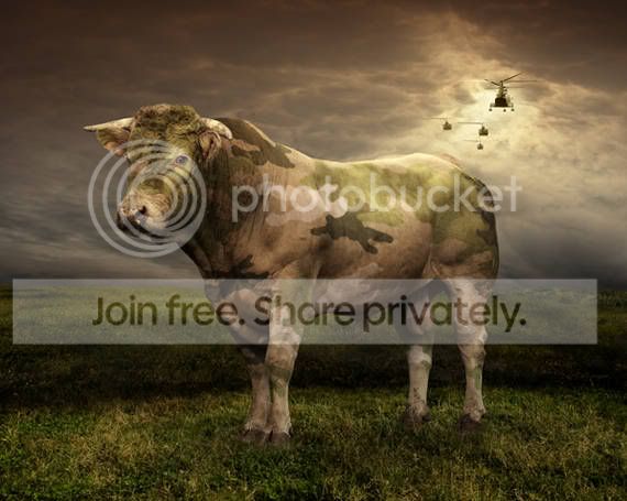 Amazing-Photo-Manipulation-by-LSD-P.jpg