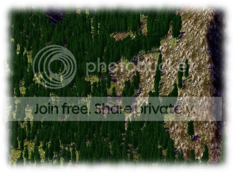 FSNP4-Jul26311280174377MOD.jpg