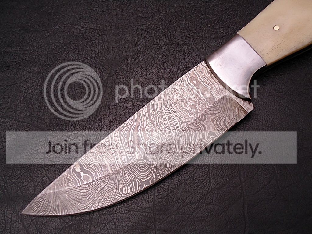 custom made damscus hunting knife/buffalo horn & camel bone/with